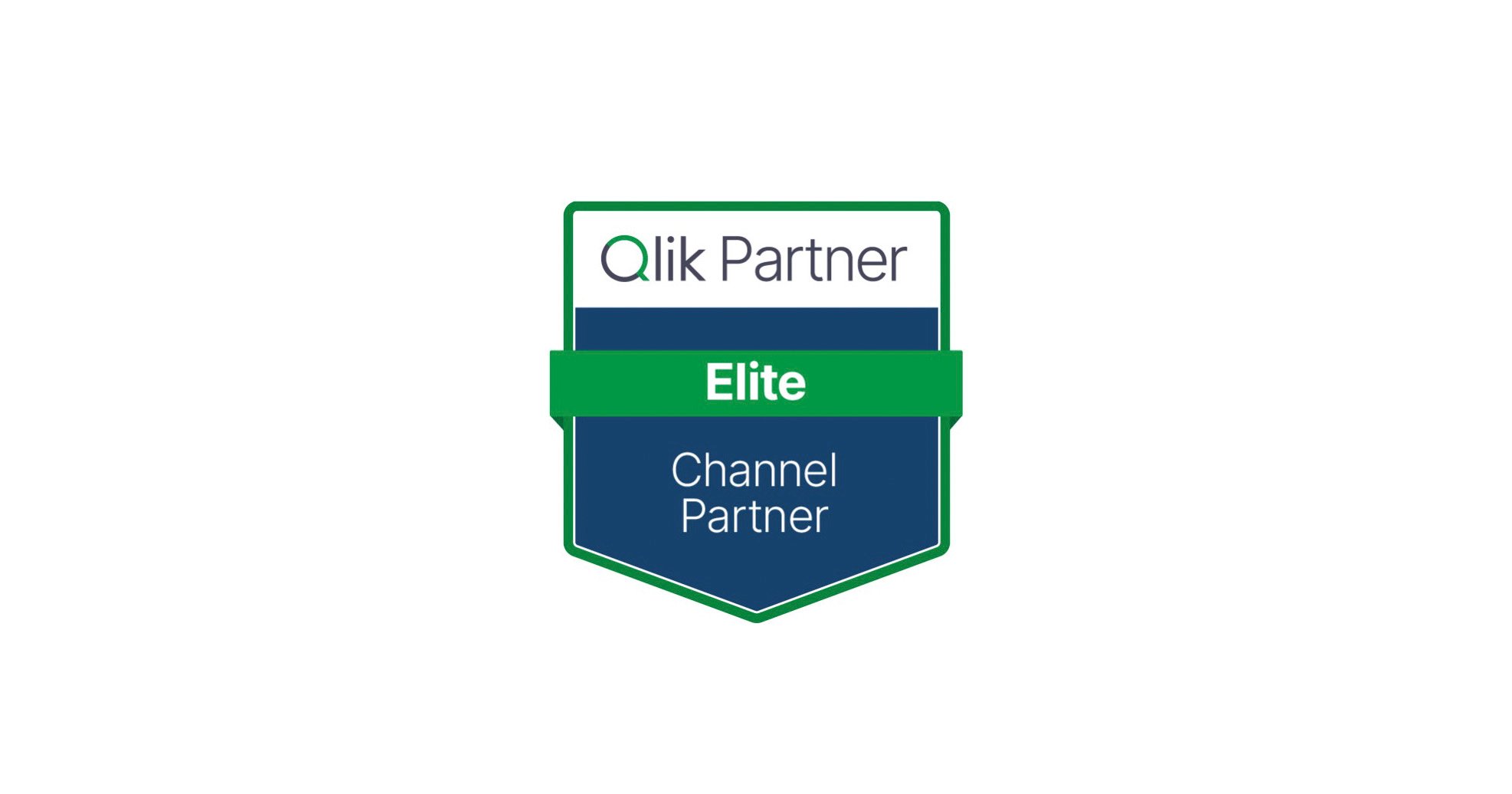 qlik-partner